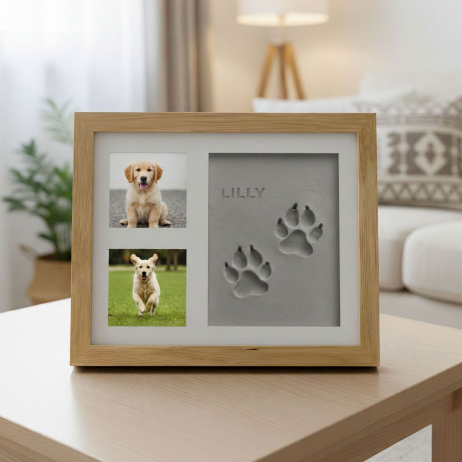 Pets Pawprint Clay Kit Frame